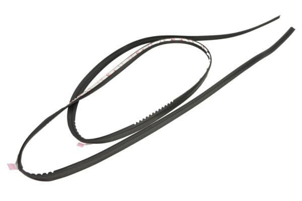 Elemente decorative/protectie, parbriz BLIC 5703-04-6037529Q