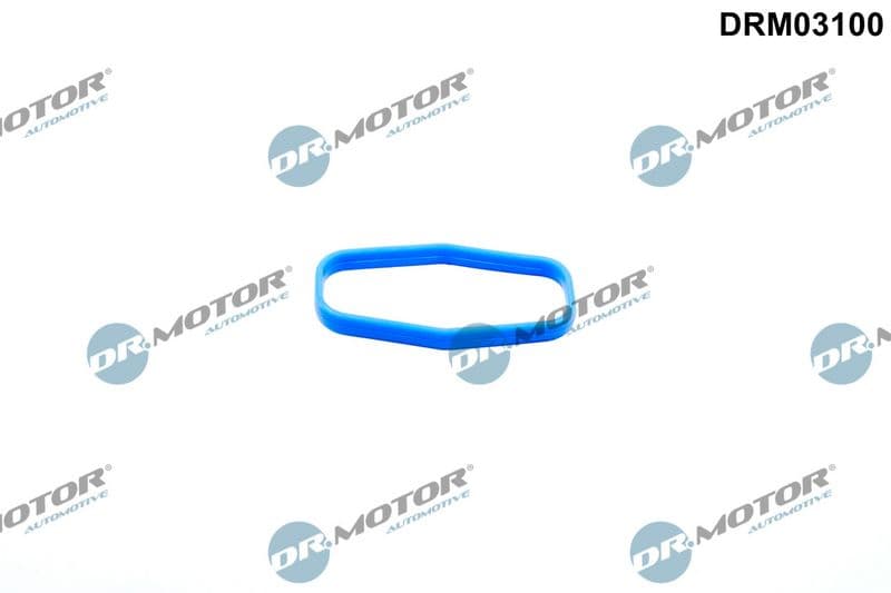 Etansare, pompa ulei Dr.Motor Automotive DRM03100
