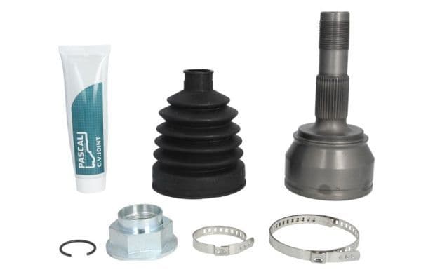 Set articulatie, planetara PASCAL G1F056PC
