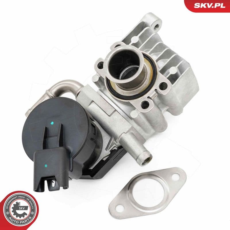 Supapa EGR ESEN SKV 14SKV283