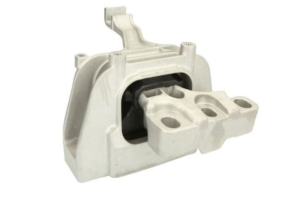Suport motor REINHOCH RH11-0092