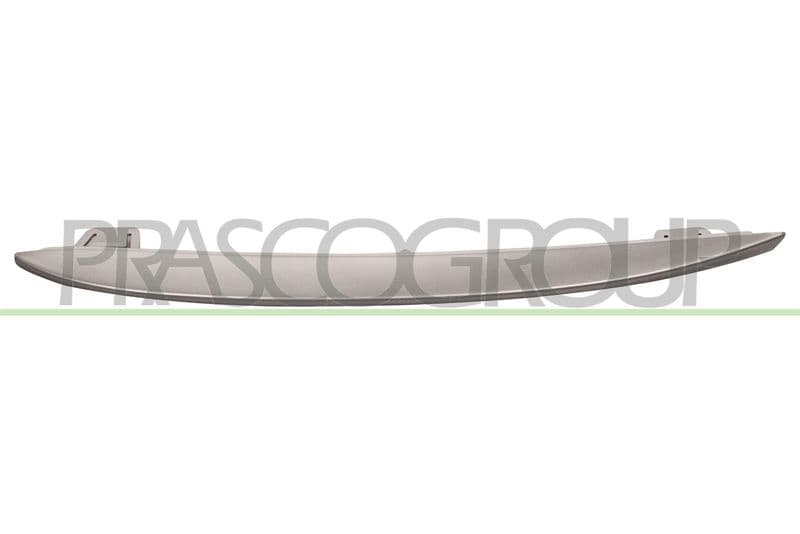 Banda de protectie, grila radiator PRASCO BM0482128