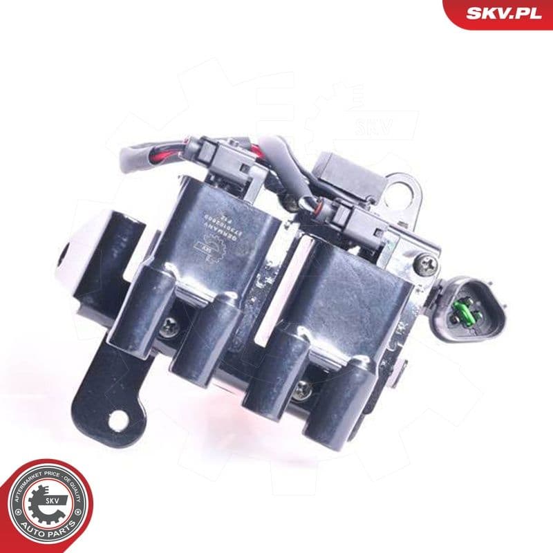 bobina de inductie ESEN SKV 03SKV052