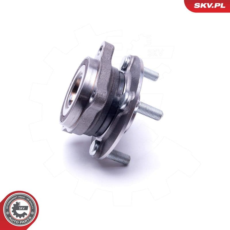 Set rulment roata ESEN SKV 29SKV431