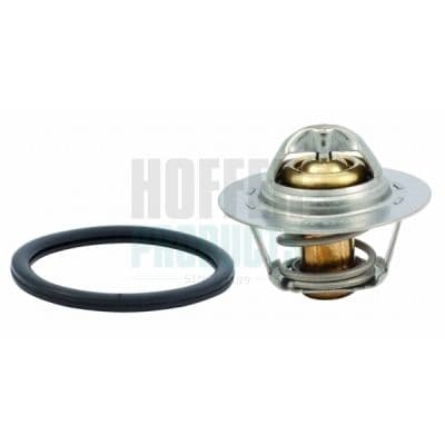 termostat,lichid racire MEAT & DORIA 8192465