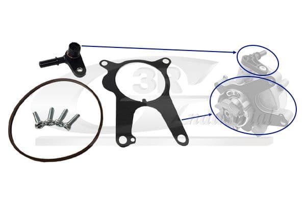 Set reparatie, pompa vacuum (Siste frana) 3RG 74902