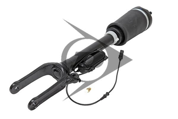 Air Spring Strut