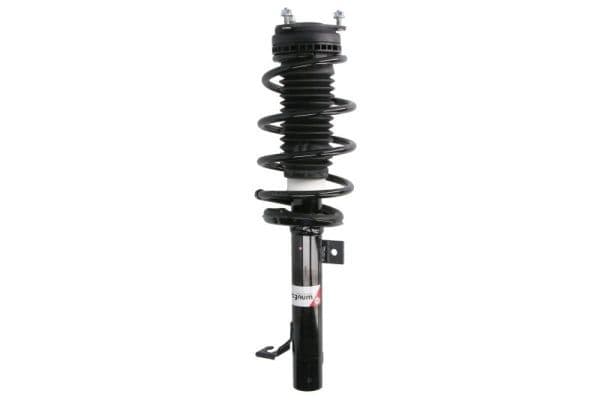 Set suspensie, arcuri elicoidale / amortizoare Magnum Technology SAG001MT
