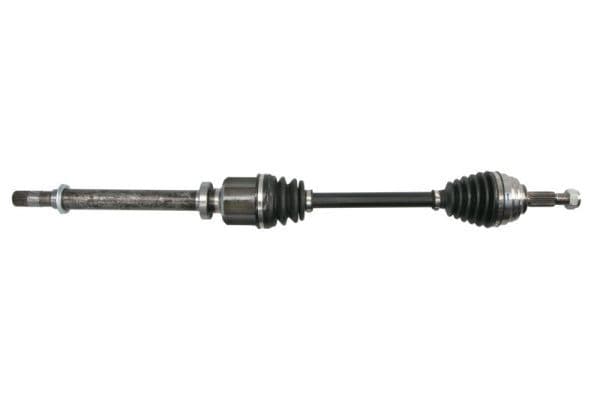 Planetara PASCAL G2R083PC