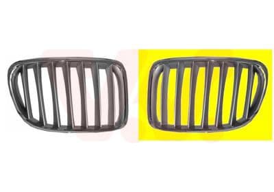 Grila radiator VAN WEZEL 0678513