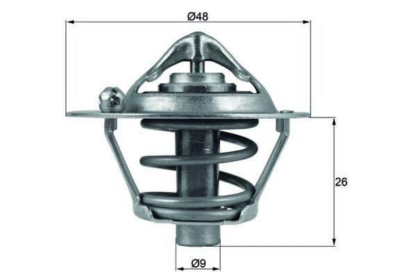 termostat,lichid racire MAHLE BEHR TX 108 82D