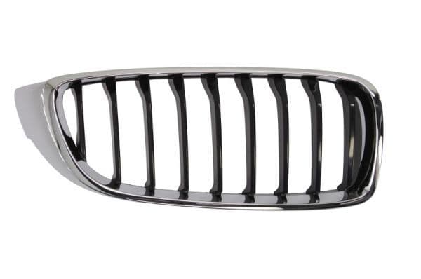 Grila radiator BLIC 6502-07-0070996P