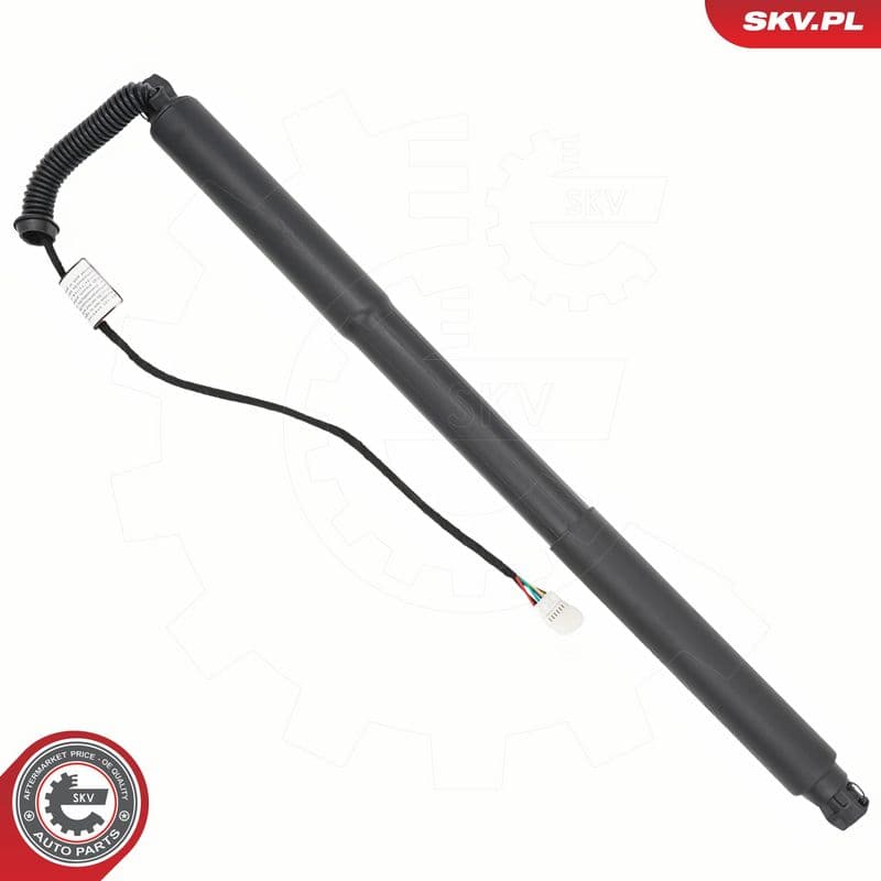 Motor electric, haion ESEN SKV 52SKV979