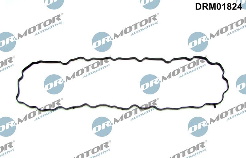 Garnitura baie ulei Dr.Motor Automotive DRM01824