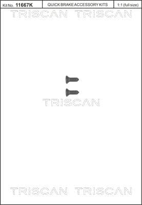 Set surub, disc frana TRISCAN 8105 116008