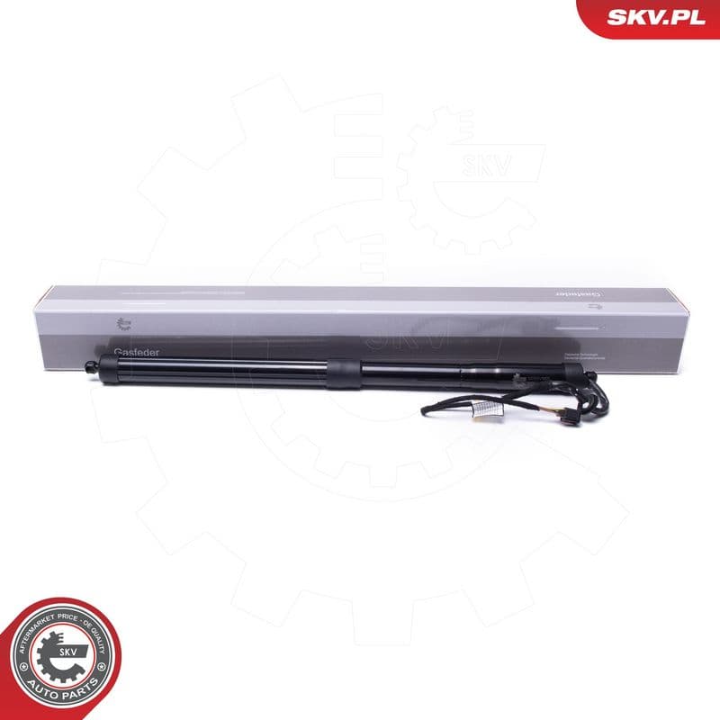 Motor electric, haion ESEN SKV 52SKV966