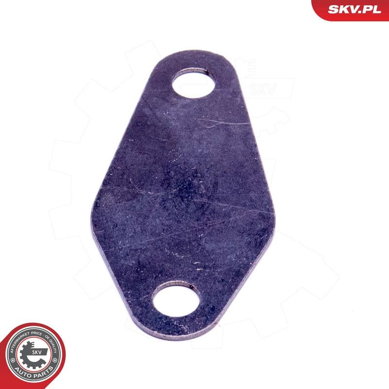 Set de reparație, supapă AGR ESEN SKV 14SKV573