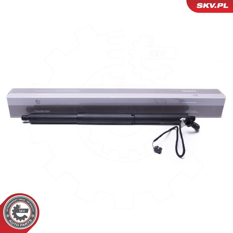 Motor electric, haion ESEN SKV 52SKV953