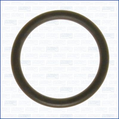 garnitura,conducta lichid de racire AJUSA 16063000