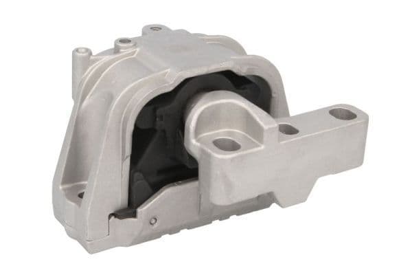 Suport motor REINHOCH RH11-0066