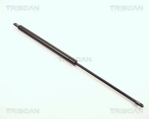 Amortizor capota TRISCAN 8710 1012