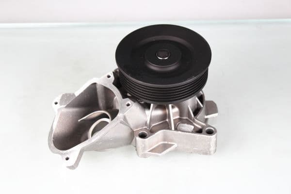 Pompă de apă, răcire motor HEPU P487