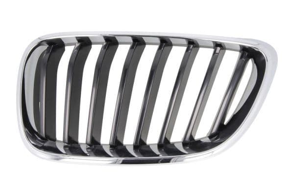 Grila radiator BLIC 6502-07-0069991P