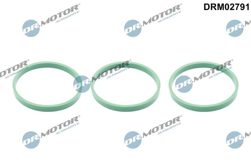 Garnitura, galerie admisie Dr.Motor Automotive DRM02791