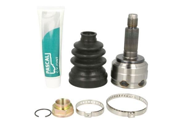 Set articulatie, planetara PASCAL G13074PC