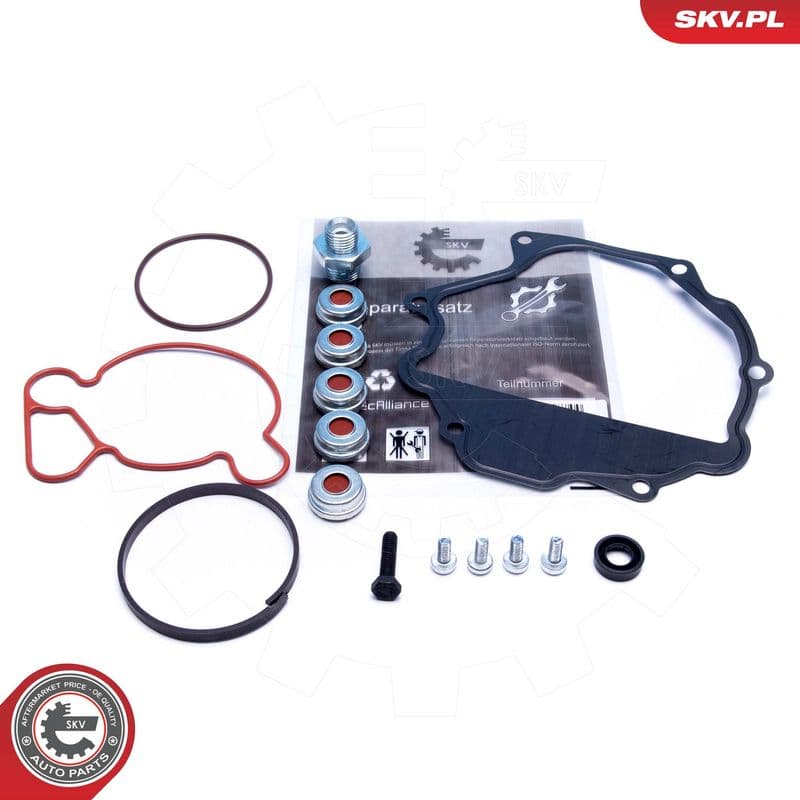 Set reparatie, pompa vacuum (Siste frana) ESEN SKV 18SKV809