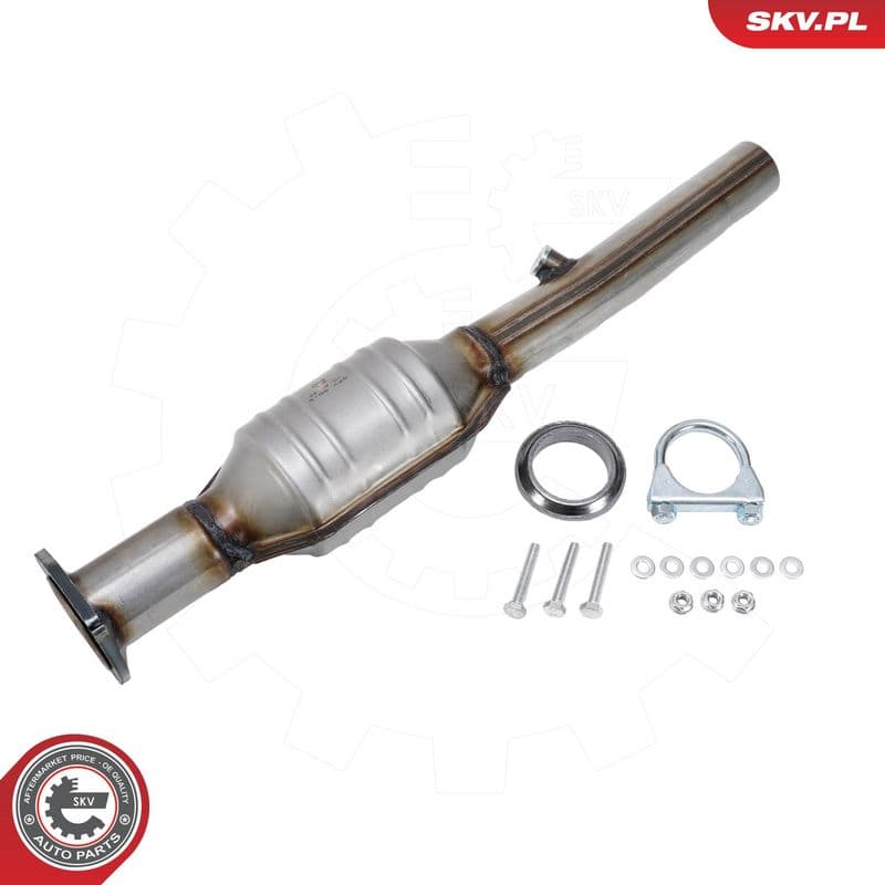 Catalizator ESEN SKV 62SKV154