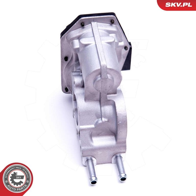 Supapa EGR ESEN SKV 14SKV215