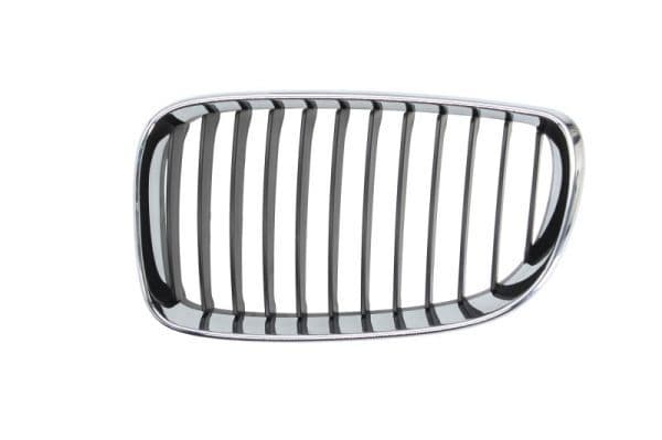 Grila radiator BLIC 6502-07-0085991PQ