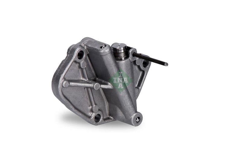intinzator,lant distributie Schaeffler INA 551 0190 10