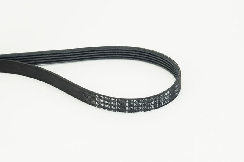 Curea transmisie cu caneluri CONTINENTAL CTAM 5PK775 ELAST