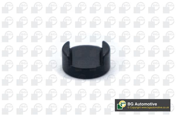Piese apasare, supapa admisie/evacuare BGA TP3999