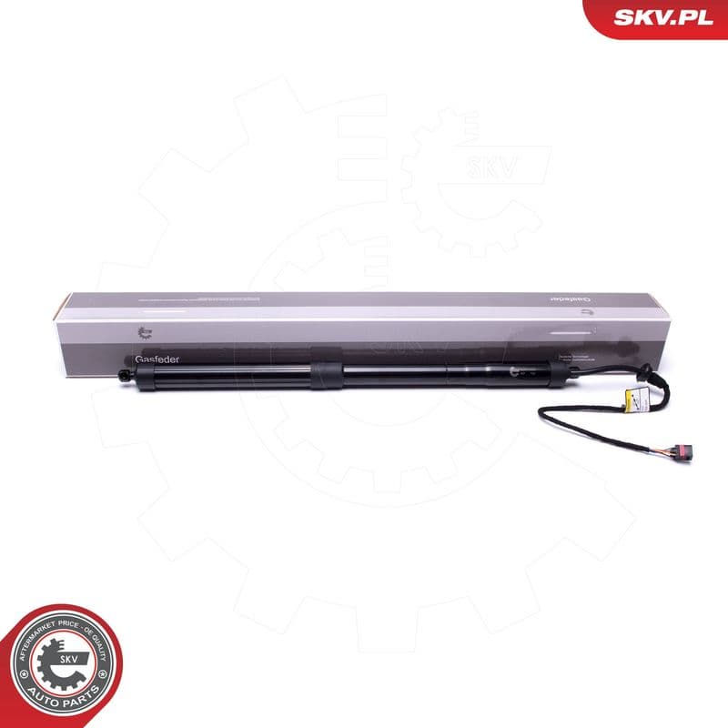 Motor electric, haion ESEN SKV 52SKV902