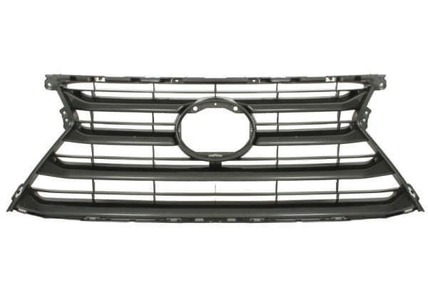 Grila radiator BLIC 6502-07-8166993P