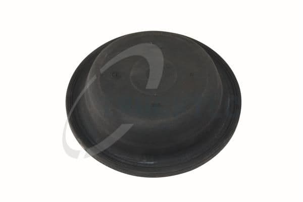 Membrana, cilindru frana arc TRUCKTEC AUTOMOTIVE 98.05.020