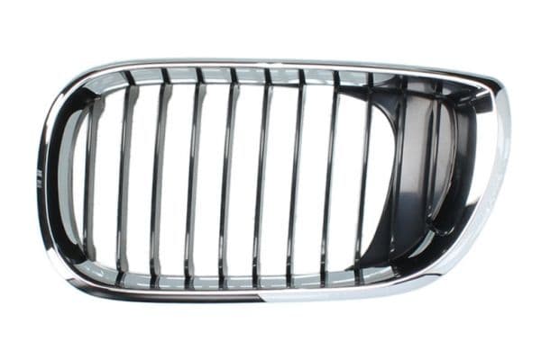 Grila radiator BLIC 6502-07-0061991AP
