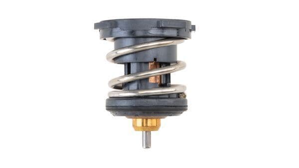 termostat,lichid racire MAHLE BEHR TX 252 87