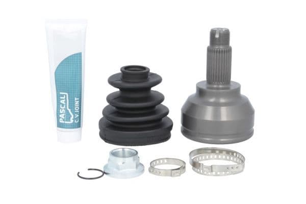 Set articulatie, planetara PASCAL G1B011PC