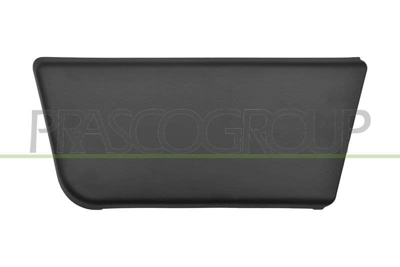 Elemente decorative/protectie, portiera PRASCO FT9301404