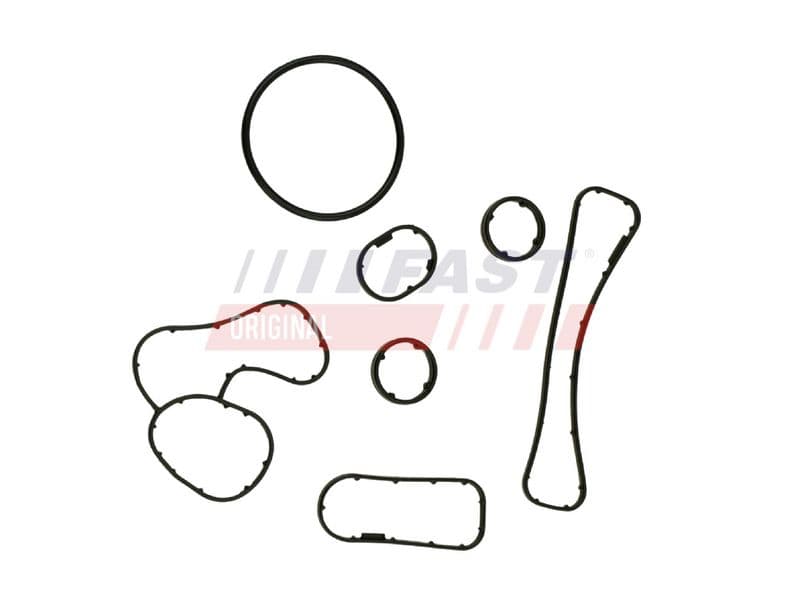 Set garnituri, radiator ulei FAST FT48930