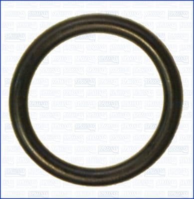 garnitura,teava lichi de racire AJUSA 16098400