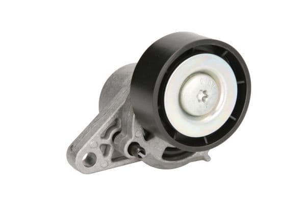 Intinzator curea, curea distributie BTA E3R0001BTA