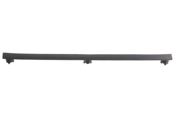 Banda de protectie, grila radiator BLIC 6502-07-2562990P