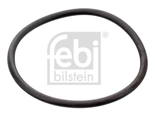 Garnitura termostat FEBI BILSTEIN 17964