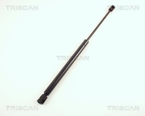 Amortizor portbagaj TRISCAN 8710 67204