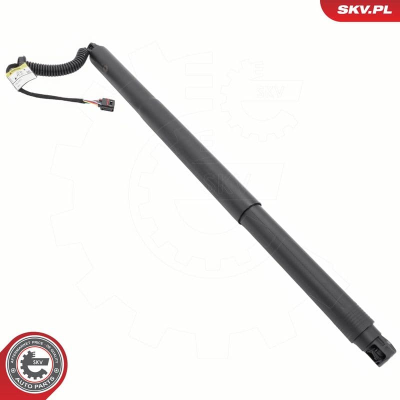 Motor electric, haion ESEN SKV 52SKV197